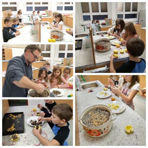 preparation - food for birds